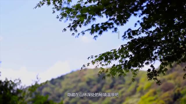 25x÷2=40解方程？游戏画面